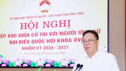 Chau Van Minh professzor: Tudományos és technológiai kutatási projektek megrendelését fogja javasolni.