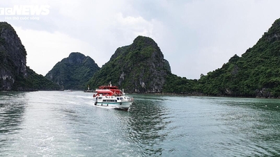 A renowned American travel magazine has chosen Bai Tu Long Bay as a wonder of Southeast Asia.