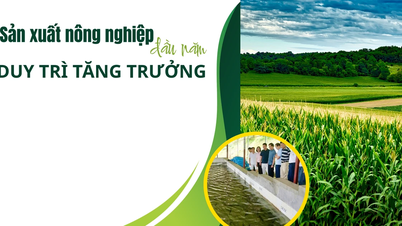 Agricultural production maintained growth in the early part of the year.
