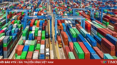 فوڈ سیفٹی کے لیے قانونی فریم ورک کو بہتر بنانا: ایک فعال اور مربوط قدم۔