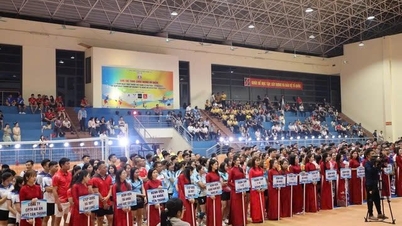 Mais de 750 profissionais de saúde da província de Nghe An competiram em um evento esportivo que comemorou o 80º aniversário do setor de saúde.