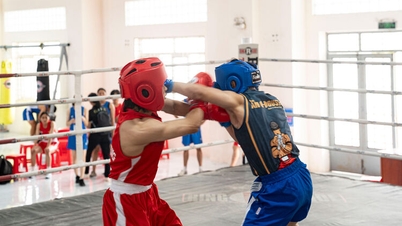 Cerimônia de abertura da competição de boxe no 1º Festival Esportivo Provincial de An Giang 2026