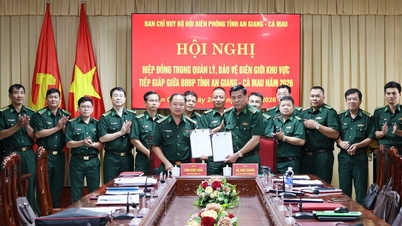 Os guardas de fronteira das províncias de An Giang e Ca Mau continuam a coordenar esforços na gestão e proteção da área fronteiriça.