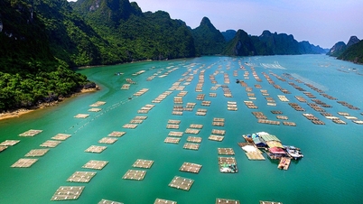 Vietnam bezit een 'kostbaar juweel' dat tot de zeven grootste wereldwonderen van Zuidoost-Azië behoort.