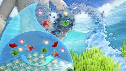 中国が洗剤を使わずに洗える自己洗浄機能を持つ布地を開発。