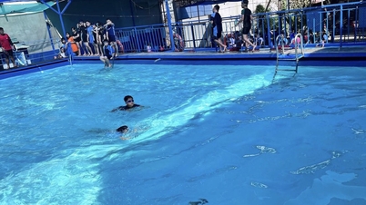 Los padres están molestos por el costo de los certificados de natación; ¿qué dice la escuela al respecto?