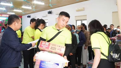 Numerosas actividades prácticas difunden valores humanitarios en la comunidad.