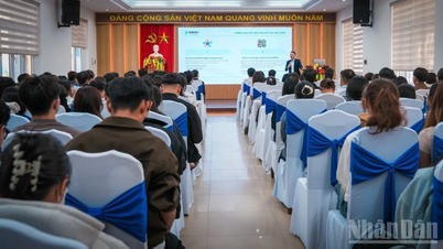 Studenten in Da Nang leren belangrijke concepten over digitale financiën.