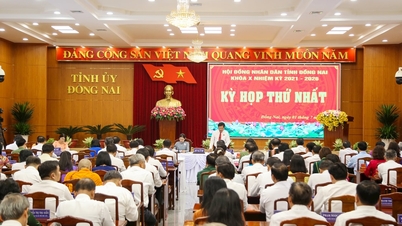 ដុងណៃ៖ ការរៀបចំយ៉ាងហ្មត់ចត់នូវខ្លឹមសារសម្រាប់សម័យប្រជុំលើកទីមួយ និងសម័យប្រជុំឯកទេសនៃក្រុមប្រឹក្សាប្រជាជនខេត្តនីតិកាលទី១១។