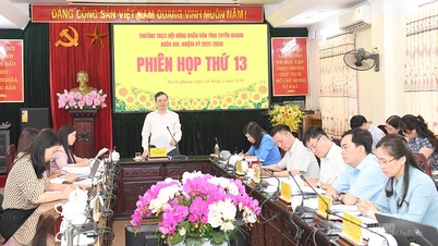 Chuẩn bị tốt các điều kiện tổ chức kỳ họp đầu tiên của Hội đồng nhân dân tỉnh nhiệm kỳ 2026-2031