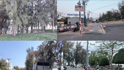 Por que o estacionamento do Parque Doi Duong está dando prejuízo?