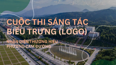 Cam Duong Ward launches a logo design contest for its brand identity in 2026.