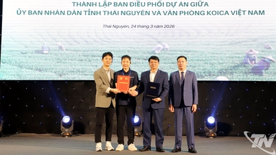 Lansarea proiectului de sprijinire a economiei circulare verzi în agricultură în Thai Nguyen.
