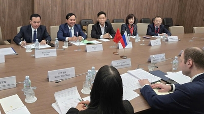 Vietnam stelt samenwerking voor op het gebied van rijstteelt in Rusland.