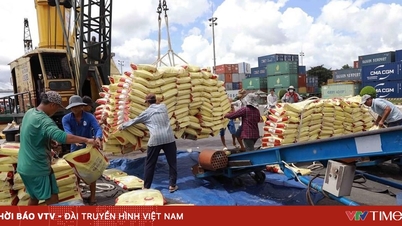 Les exportations de riz rencontrent des difficultés.