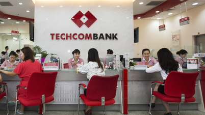 Ratele dobânzilor la depozitele de la Techcombank pe 24 martie: Dacă depuneți 1 miliard VND timp de 11 luni, ce dobândă veți primi?