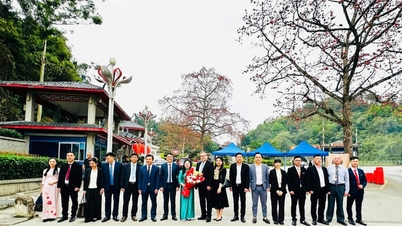 वियतनाम के लैंग सोन के सीमावर्ती इलाकों से प्रतिनिधिमंडल 2026 में चीन में आयोजित होने वाले "वसंत ड्रैगन महोत्सव" में भाग लेगा।