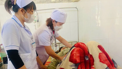 Quang Ngai: Sampel sedang diambil untuk menentukan penyebab dugaan insiden keracunan roti tersebut.