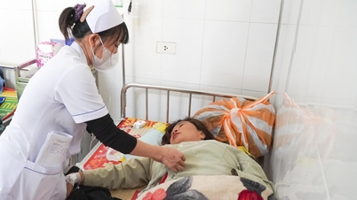 Vụ nghi ngộ độc bánh mì ở Quảng Ngãi: Tạm dừng cơ sở kinh doanh