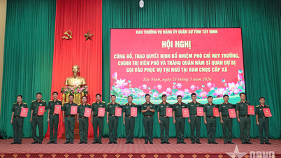 Tay Ninh: Appointment of deputy commander and deputy political commissar of the commune-level Military Command Board.