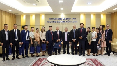 Trường Đại học Cửu Long tăng cường đào tạo nguồn nhân lực cho Lào