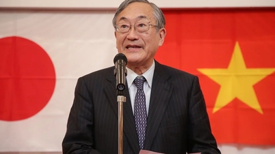 Eine Würdigung der engagierten Wissenschaftler, die sich für die Entwicklung der Bildungs- und akademischen Zusammenarbeit zwischen Vietnam und Japan einsetzen.
