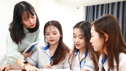 For the first time, regulations have been established regarding full-time contract teachers after retirement.