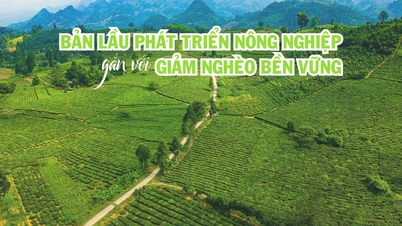 Ban Lau mengembangkan pertanian seiring dengan pengurangan kemiskinan yang berkelanjutan.