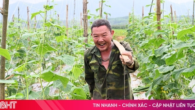 សេចក្តីរីករាយនៃការទទួលបានផលចំណេញពីគំរូសហការនៅតំបន់ព្រំដែន។