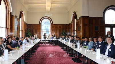 Menghubungkan dan mendorong mitra Australia untuk meningkatkan investasi di Vietnam.