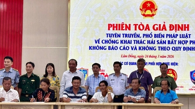 Se realizará un "juicio simulado" para concienciar a los pescadores de la provincia de Lam Dong sobre la pesca ilegal, no declarada y no reglamentada (INDNR).