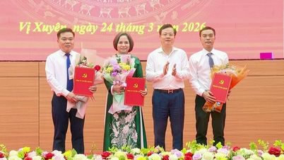비쑤옌 면 인사 문제에 관한 성(省) 당 상무위원회 결정 발표.