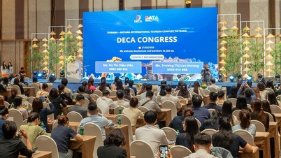Launching the Da Nang Destination and Events Chapter