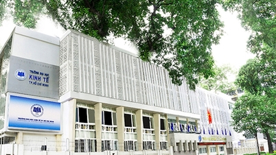 A university spends half a billion VND in 'bribes' to attract professors, offering salaries of up to 120 million VND per month.