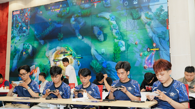 学生スポーツ祭：競技においてもプロ意識を持って取り組む必要がある。