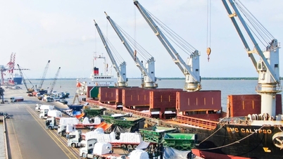 Tay Ninh: Het implementeren van een strategie voor de ontwikkeling van logistieke diensten.