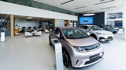 BYD Vietnam strengthens its system, aiming for a better service experience.