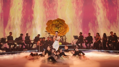 "Shining Bright" Concert: When music spreads the spirit of "Forging me to be stronger."