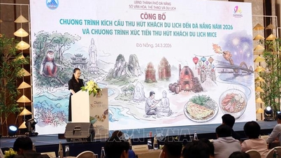 Da Nang, 2026 yılında turizm teşvik programı ve MICE (Toplantı, Teşvik, Konferans ve Sergi) tanıtımını hayata geçirecek.