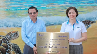 Bảo tồn hệ sinh thái biển tại đặc khu đảo Lý Sơn