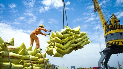 Promover as exportações de arroz e responder proativamente às flutuações do mercado.