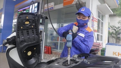 Sorotan berita ekonomi Vietnam pada tanggal 24 Maret.