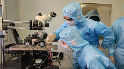研修と実践の連携：半導体業界の人材育成における新たな方向性。