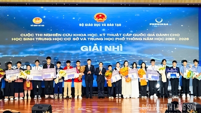 Two projects by students from Lang Son province won awards at the national science and technology competition.