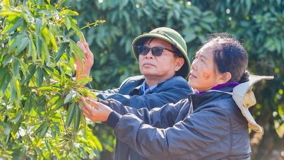 ベトナム北部では強い日差しが続いており、寒冷前線の強化に備えている。