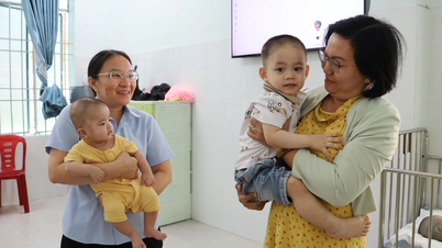Celebrating the 10th Anniversary of Vietnam Social Work Day (March 25, 2016 - March 25, 2026): Helping Hands Lifted by Human Destiny
