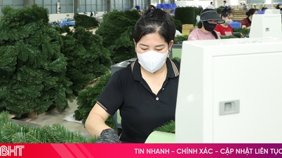 O Parque Industrial de Phu Vinh é atrativo para investidores.