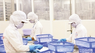 Novas vantagens de exportação do mercado da ASEAN