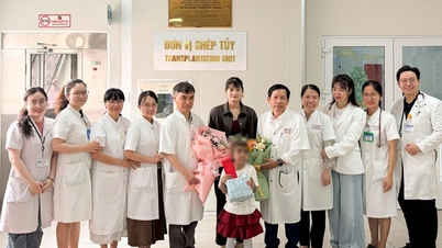 Cứu sống bệnh nhi 7 tuổi nhờ ghép tế bào gốc từ chị ruột