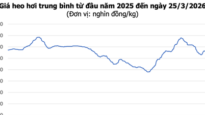 Pork prices today, March 25th: Prices in the North decreased by up to 2,000 VND/kg, while prices in the South increased in some areas.